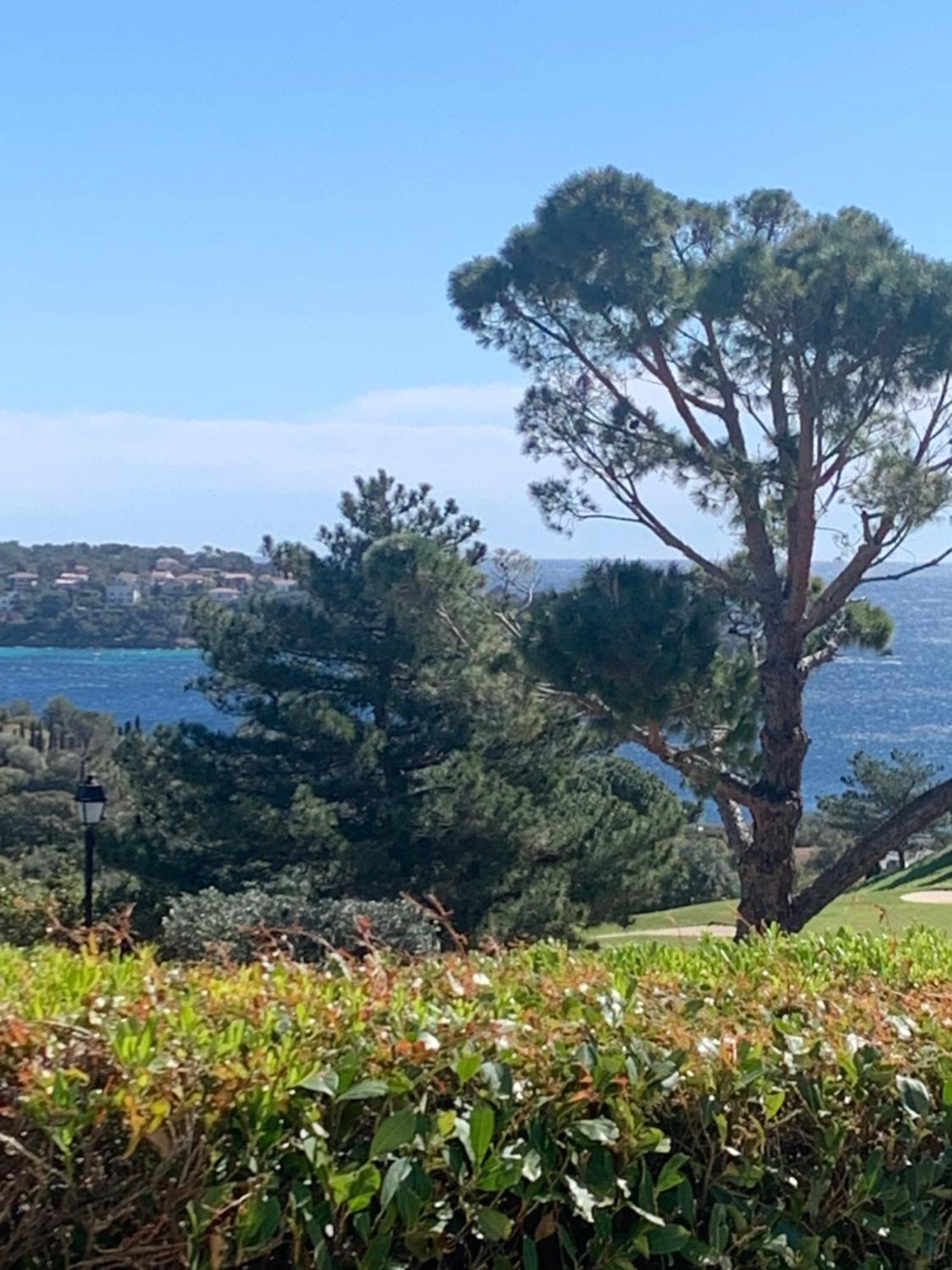 T2 En Rez De Jardin Privatif Cloture , Cap Esterel Pierre Et Vacances ,Piscine Chauffee Des Le 05 Avril Au 02 Novembre Saint-Raphaël Екстериор снимка