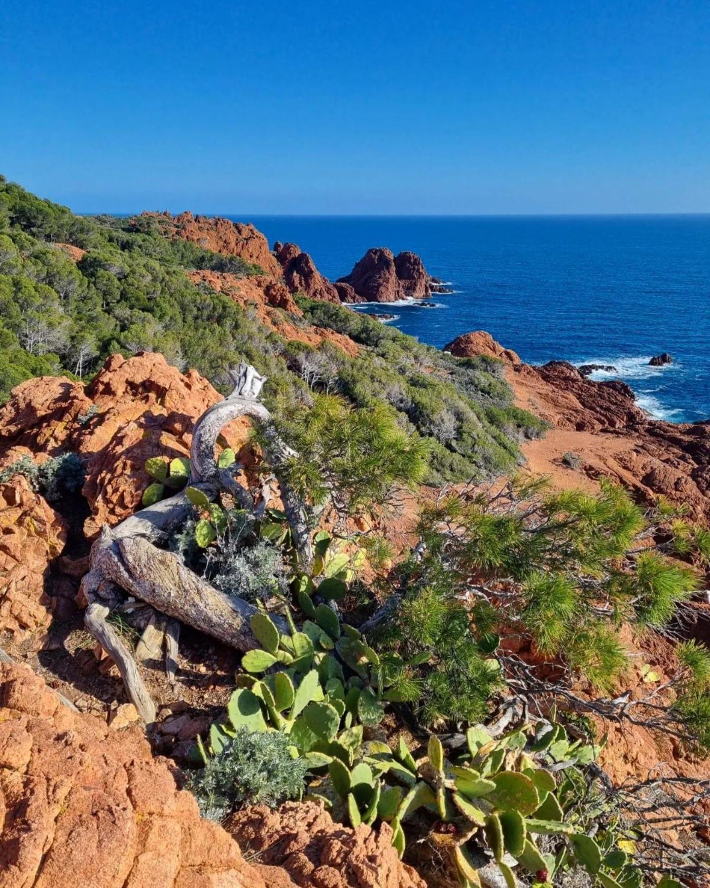 T2 En Rez De Jardin Privatif Cloture , Cap Esterel Pierre Et Vacances ,Piscine Chauffee Des Le 05 Avril Au 02 Novembre Saint-Raphaël Екстериор снимка
